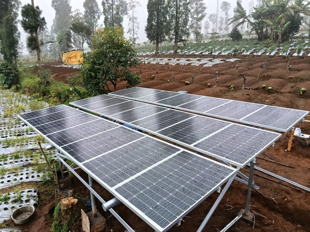 Harga Pompa Celup PS2-4000 8-15 Lengkap dan Ready Stok untuk Program Dinas Pertanian dan Irigasi Sekarang di Mataram, Spesifikasi Pompa Tenaga Surya Head : 220 meter Debit : 2 liter/detik PS24000 3-32 di Papua Pegunungan