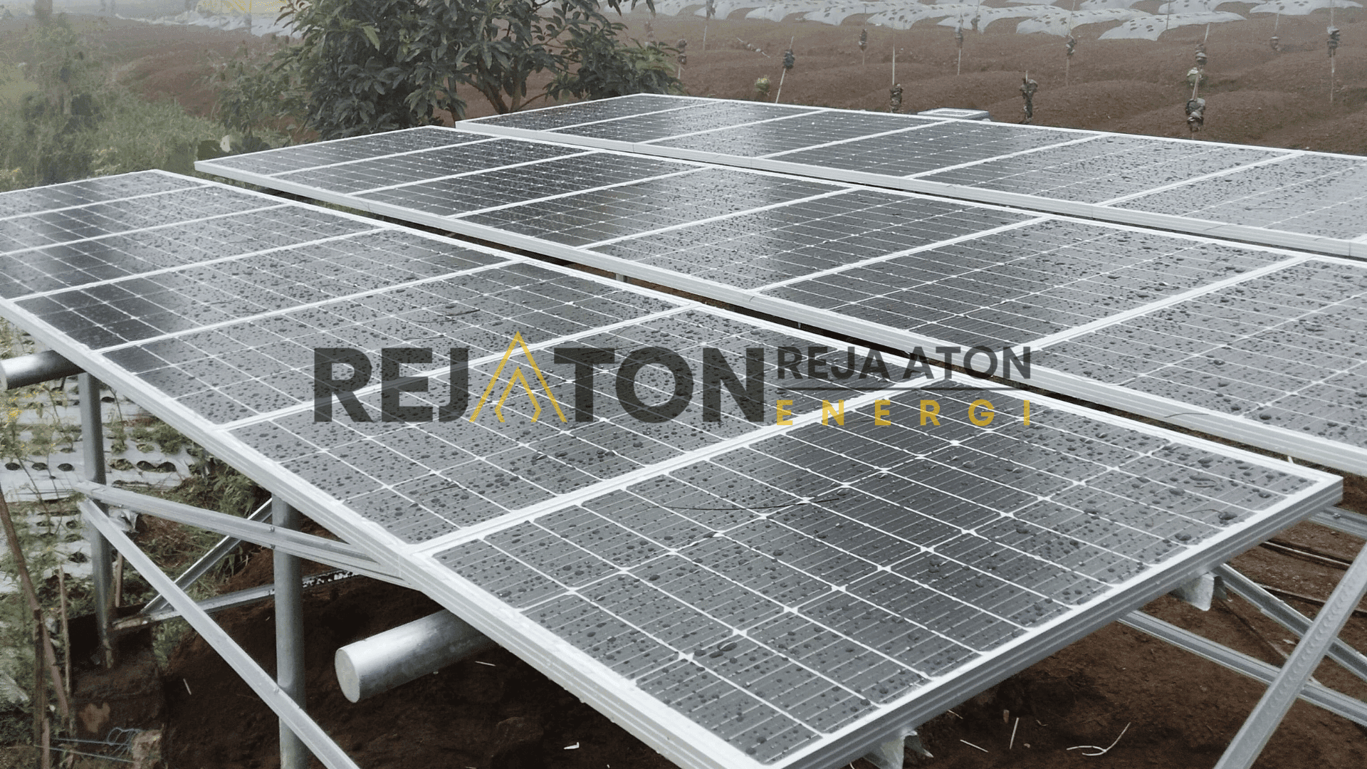 Jual Pompa Hybrid ACDC Lengkap dan Ready Stok di Kayong Utara, Spesifikasi Pompa Lorentz PS2-4000 C-SJ5-25 di Banjarbaru, Spesifikasi Pompa Lorentz PS2-4000 C-SJ3-32 di Ambon, Spesifikasi Pompa Lorentz PS2-1800 C-SJ8-7 untuk Halmahera Utara, Jual Pompa Hybrid ACDC lengkap dan ready stok di Tebing Tinggi, Jual Pompa Hybrid ACDC Lengkap dan Ready Stok di Tanjung Jabung Timur, Harga Paket Pompa PS2-1800 C-SJ1-25 PS2-1800 C-SJ8-7 lengkap dan Ready Stok untuk PAMSIMAS Update Tiap Bulan di Bengkulu Tengah, Spesifikasi Pompa Lorentz PS2-1800 5-12 untuk Papua Tengah, Distributor Resmi Pompa Tenaga Surya ACDC di Bolaang Mongondow, Jual Pompa Tenaga Surya Lengkap dan Ready Stok di Jambi, Spesifikasi Pompa Lorentz PS2-1800 5-12 untuk Halmahera Barat, Spesifikasi Pompa Lorentz PS2-1800 5-12 untuk Tidore Kepulauan, Spesifikasi Pompa Tenaga Surya Head : 70 meter Debit : 3 liter/detik PS21800 5-12 di Langkat, Spesifikasi Pompa Tenaga Surya Head : 70 Meter Debit : 3 Liter/detik PS21800 5-12 di Aceh Utara, Spesifikasi Pompa Lorentz PS2-4000 C-SJ5-25 di Muaro Jambi, Spesifikasi Pompa Lorentz PS2-4000 C-SJ8-15 di Lima Puluh Kota, Spesifikasi Pompa Tenaga Surya Head : 40 meter Debit : 4 liter/detik PS21800 8-7 di DKI Jakarta, Harga Paket Pompa Tenaga Surya lengkap dan ready stok untuk PAMSIMAS sekarang di Nias Barat, Spesifikasi Pompa Lorentz PS2-4000 C-SJ5-25 di Kotawaringin Timur, Distributor Resmi Pompa Sibel Tenaga Surya di Hulu Sungai Selatan, Harga Pompa PS2-4000 8-15 Lengkap dan Ready Stok untuk Program Balai Besar Wilayah Sungai (BWS) Sekarang di Tapin, Spesifikasi Pompa Lorentz PS2-1800 C-SJ8-7 untuk Pangkalpinang, Harga Paket Pompa PS2-1800 C-SJ1-25 PS2-4000 C-SJ5-25 Lengkap dan Ready Stok untuk PAMSIMAS Update Tiap Bulan di Magetan, Distributor Resmi Pompa Tenaga Surya ACDC di Nusa Tenggara Timur, Jual Pompa Celup Tenaga Surya lengkap dan ready stok di Deli Serdang, Spesifikasi Pompa Lorentz PS2-4000 C-SJ8-15 di Wajo, Distributor Resmi Pompa Tenaga Surya ACDC di Majene, Jual Pompa Tenaga Surya lengkap dan ready stok di Bandung, Distributor Resmi Pompa Tenaga Surya ACDC di Nusa Tenggara Barat, Jual Pompa Celup Tenaga Surya lengkap dan ready stok di Jembrana, Distributor Resmi Pompa Sibel Tenaga Surya di Way Kanan, Spesifikasi Pompa Lorentz PS2-1800 5-12 untuk Rejang Lebong, Spesifikasi Pompa Lorentz PS2-4000 C-SJ3-32 di Banyuwangi, Spesifikasi Pompa Lorentz PS2-4000 C-SJ8-15 di Gunungkidul, Spesifikasi Pompa Lorentz PS2-1800 C-SJ1-25 untuk Mamuju, Distributor Resmi Pompa Tenaga Surya ACDC di Klungkung, Distributor Resmi Pompa Tenaga Surya ACDC di Mataram, Spesifikasi Pompa Tenaga Surya Head : 40 meter Debit : 4 liter/detik PS21800 8-7 di Tangerang, Harga Pompa PS2-4000 8-15 Lengkap dan Ready Stok untuk Program Balai Besar Wilayah Sungai (BWS) Sekarang di Bolaang Mongondow, Distributor Resmi Pompa Hybrid ACDC di Bangka Selatan, Jual Pompa Lorentz Ready Stok di Garut, Distributor Resmi Pompa Tenaga Surya ACDC di Way Kanan, Distributor Resmi Pompa Hybrid ACDC di Flores Timur, Spesifikasi Pompa Tenaga Surya Head : 40 meter Debit : 4 liter/detik PS21800 8-7 di Surabaya, Distributor Resmi Pompa Tenaga Surya ACDC di Tulang Bawang, Distributor Resmi Pompa Tenaga Surya ACDC di Banyuwangi, Spesifikasi Pompa Lorentz PS2-1800 C-SJ8-7 untuk Banyuwangi, Distributor Resmi Pompa Celup Tenaga Surya di Balikpapan, Distributor Resmi Pompa Tenaga Surya ACDC di Manado, Distributor Resmi Pompa Hybrid ACDC di Muna, Distributor Resmi Pompa Celup Tenaga Surya di Tana Tidung, Jual Pompa Tenaga Surya lengkap dan ready stok di Sumedang, Jual Pompa Tenaga Surya lengkap dan ready stok di Natuna, Distributor Resmi Pompa Celup Tenaga Surya di Parepare