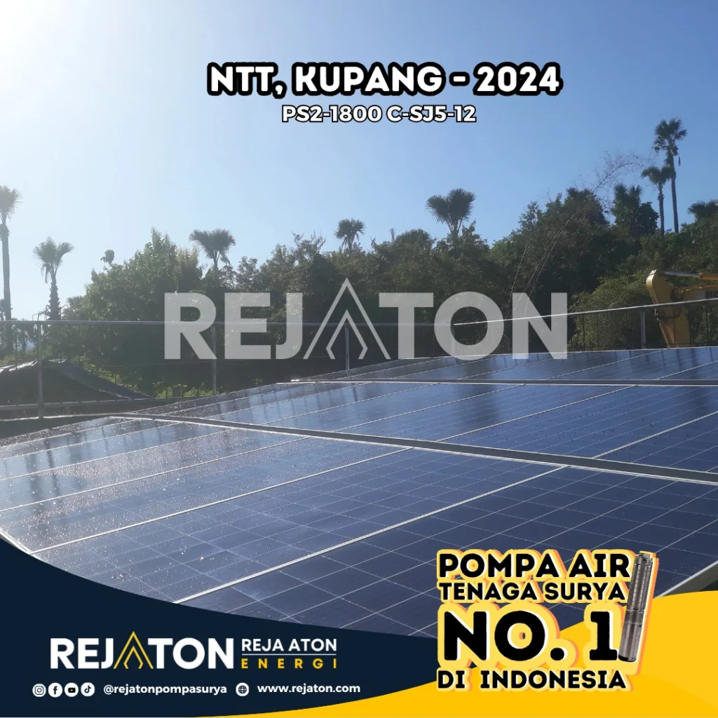 NTT, Kupang - 2024